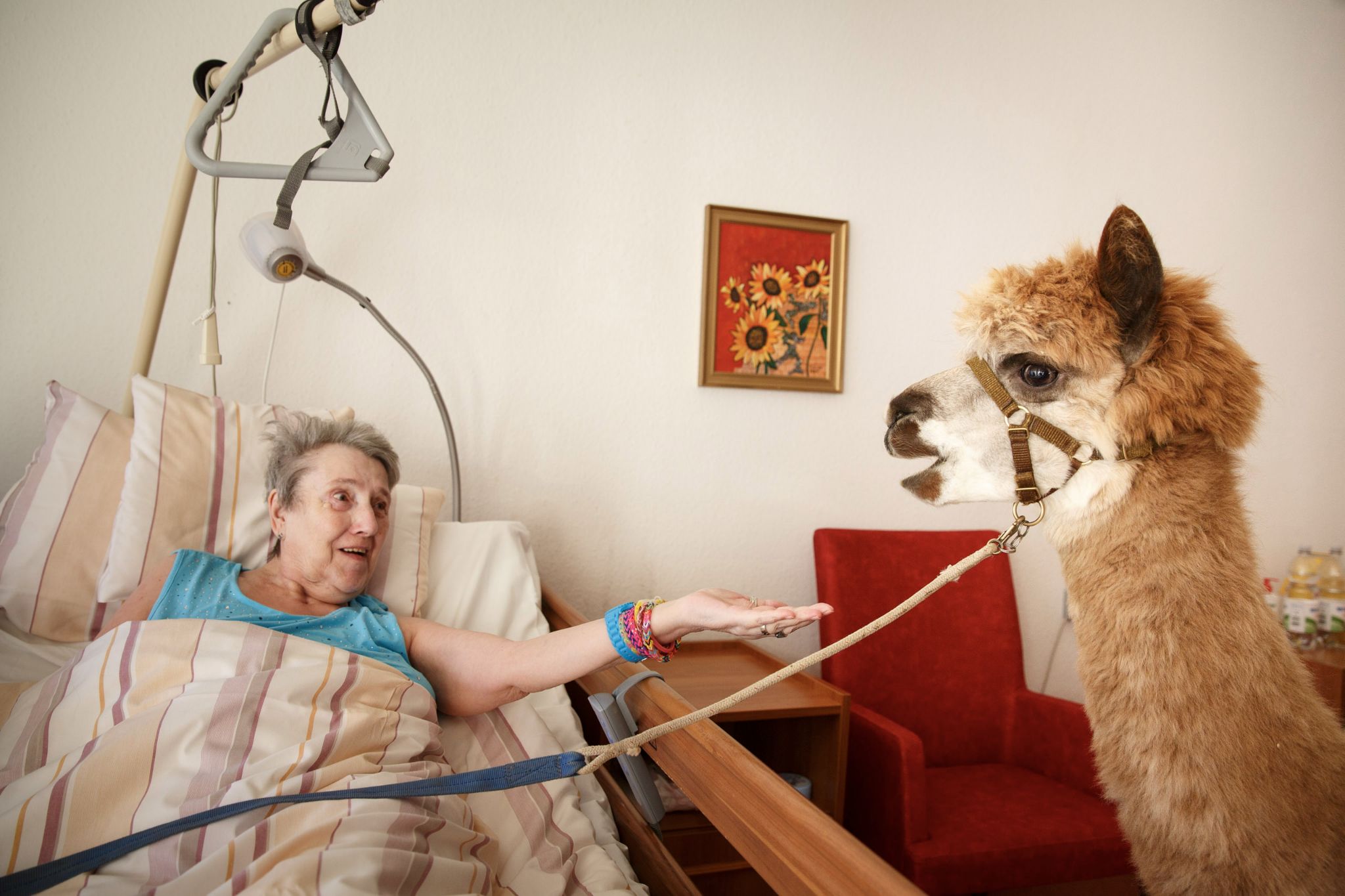 When you’re 66, life really begins. When you’re 66 you have