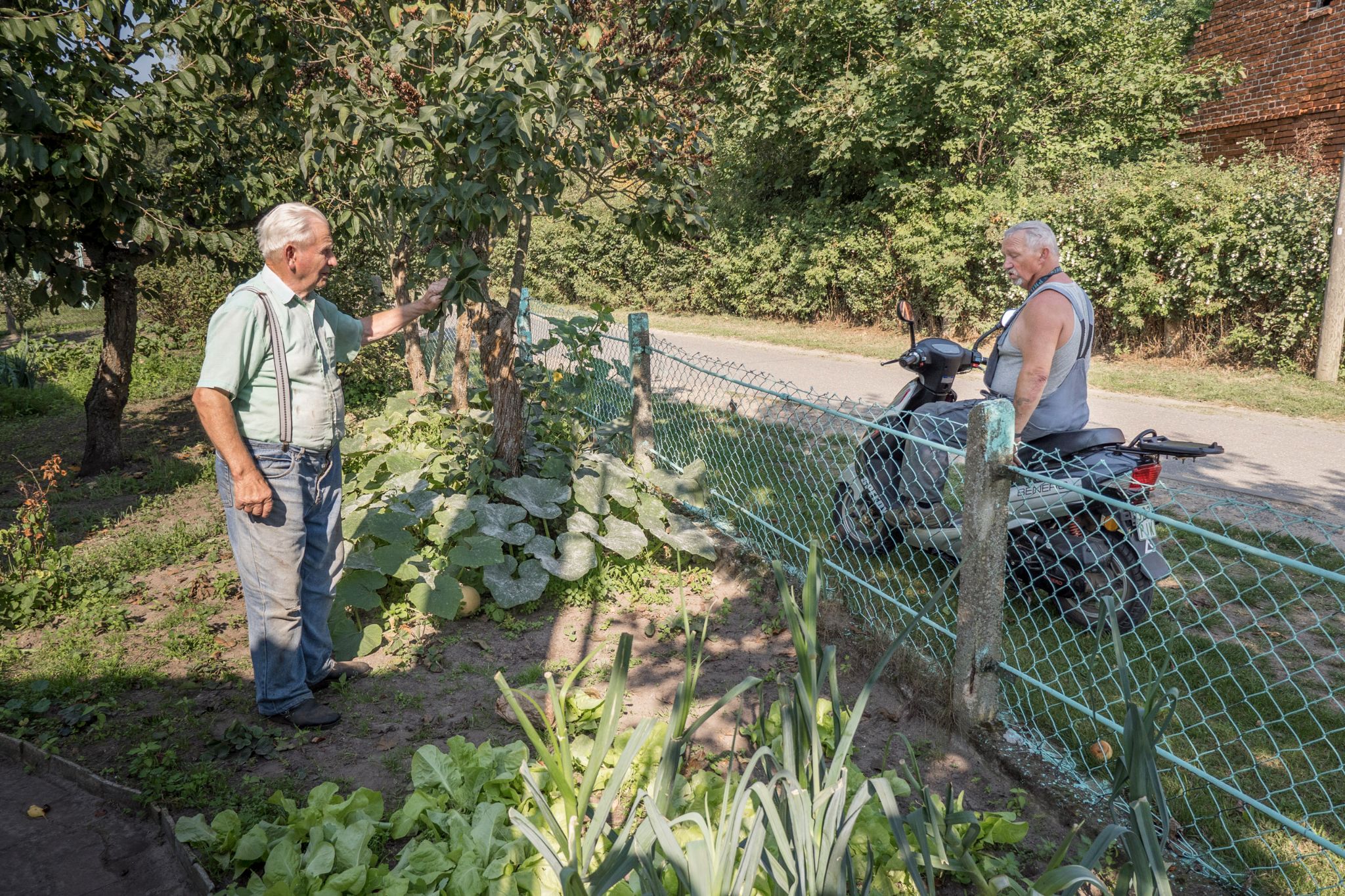 When you’re 66, life really begins. When you’re 66 you have